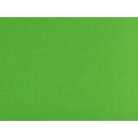Фетр "Gamma" Premium FKS12-33/53 декоративный 1.2 мм, Ярко-зеленый