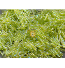 Витой стеклярус Miyuki Transparent Chartreuse AB TW-12-0258