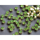 Шатоны ss29 Peridot/ оправа золото